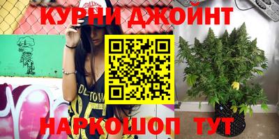 крисы Вышний Волочёк